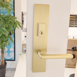 Ensemble de poignées de porte d'entrée modernes avec serrure à cylindre unique et loquet de passage pour portes intérieures et extérieures - Product Image 5