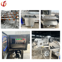Multifunctionele bubbelwasmachine voor het reinigen van groenten en fruit voor groentewinkels en de cateringindustrie