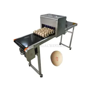 Automatic High Speed Egg Printing Machine / Egg Date Printer Printing Machine / Edible Ink Printing Eggs Machine