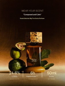 Parfum d'ambiance liquide en spray pour femme, marque de luxe authentique, parfum longue durée, parfum de niche pour homme, unisexe, boisé, Oud intense - Product Image 2