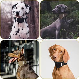 Comfortabele Verstelbare Metalen Gesp Bedieningshendel Custom Logo Air Tag Pocket Huisdier Hond Halsband - Product Image 3