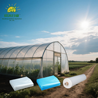 Film agricole anti-goutte 200 microns réutilisable pour la diffusion en serre de fraises