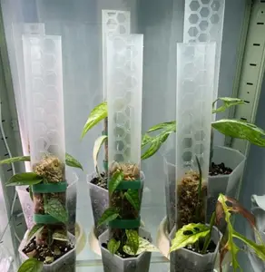 Palo di plastica per piante di muschio di sfagno, bastoncino di muschio per piante rampicanti sfagno, supporto per pali di muschio