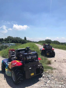 Nuovo Arrivo: Trattorino Rasaerba Industriale 4WD Mini da 125cc a Benzina <span class=keywords><strong>con</strong></span> <span class=keywords><strong>Avviamento</strong></span> <span class=keywords><strong>Elettrico</strong></span> per Fattorie e Parchi - Product Image 3