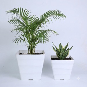 Vente en gros de petits pots de plantes carrés en plastique PP 24x24x22cm Blanc Design ondulé conique pour la décoration de jardin et de maison - Product Image 5