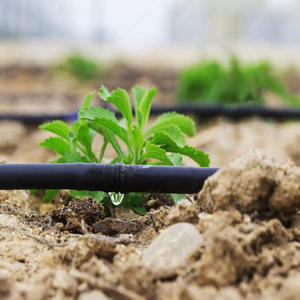 Высококачественная труба для капельного орошения Ldpe для сельского хозяйства по низкой цене - Product Image 2