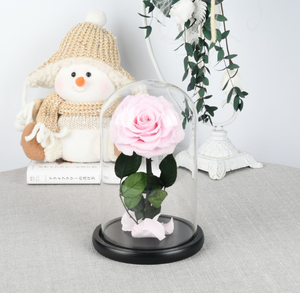 Fabbrica diretta conservato reale di vetro rose eterni conservati fiori in cupola di vetro per la laurea la <span class=keywords><strong>festa</strong></span> della <span class=keywords><strong>mamma</strong></span> <span class=keywords><strong>idee</strong></span> <span class=keywords><strong>regalo</strong></span> - Product Image 2