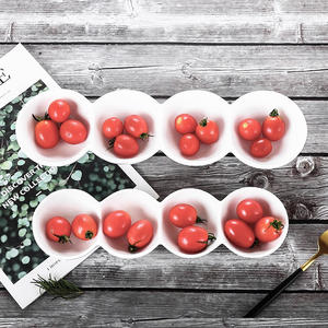 Plato de salsa rectangular de <span class=keywords><strong>12</strong></span>/14 pulgadas, platillo de salsa de cuatro rejillas dividido en 4 platos de <span class=keywords><strong>tapas</strong></span> de porcelana blanca de cerámica para Hotel - Product Image 6