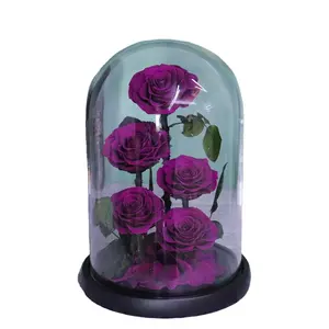 Valentinstag kundenspezifische farbe konservierte gelbe Rosen Rose konserviert im Glas konservierte Rose Blume im Glas zur Dekoration