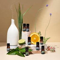Nouvel ensemble d'huiles essentielles biologiques avec diffuseur aromatique Huiles de parfum et de parfum Huile d'essence de parfum