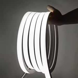 Tiras de Luces LED de Neón de Silicona Flexibles Personalizadas al por Mayor de 220v/12v/24v, 3000k/4000k/6000k - Product Image 1