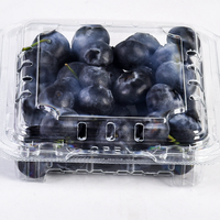 Contenitore in Plastica PET da 125g 150g per Imballaggio Frutta, Scatola Blister per Bacche Fresche, Fragole, Mirtilli con Fori
