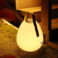 80 Ice Power Amplificateur de voiture LED Lumière de jardin Solaire Camping Étanche Conception de circuits d'éclairage 5V Charge PE Lampes de camping
