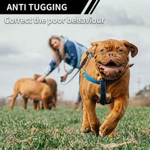 Kalung Pelatihan Anjing Elektronik Grosir Dapat Disesuaikan Plastik Kecil Aman Anti-Ledakan Anti-Menggonggong - Product Image 3