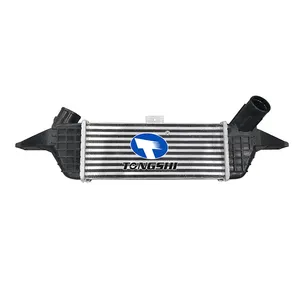 Phụ tùng ô tô nhà sản xuất xe intercooler OEM 2819042701 cho Hyundai nền tảng H-1 Chassis proter II H-100