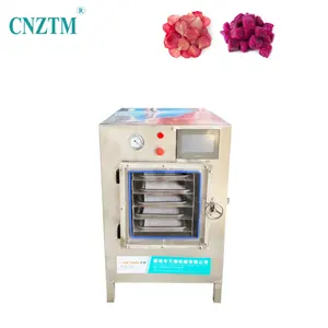 Vacuum Candy Blueberry Powder Freeze Dried Lyophilizer Gold Supplier Instant Noodles Coffee Flower Home Freeze Dryer Vacuum