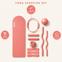 Approvisionnement direct usine, service ODM, pack d'équipement de fitness pour studio, idéal pour la mise à niveau des cours de yoga, pilates et barre.