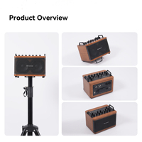 Musiccube D2MAX Amplificatore per Chitarra Elettrica, Sistema PA, Altoparlante per Matrimoni, Concerti, Chiesa, Combo per Basso, Altoparlante per Busking