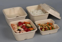 Boîte à lunch moderne TEANHE en bagasse biodégradable et écologique de 500 ml avec couvercle, idéale pour les restaurants et le camping
