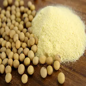 High Quality Soy Powder Instant Soybean Flour Soy Milk Powder