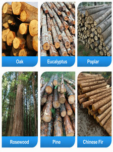 Sega a Nastro Verticale di Grado Industriale con 4 Ruote Girevoli, Tavolo di Lavoro in Acciaio, per <span class=keywords><strong>Falegnameria</strong></span> e Taglio del Legno - Product Image 6