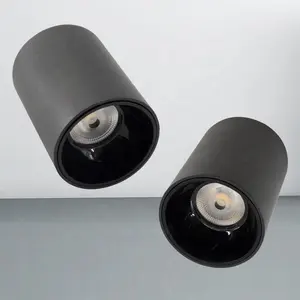 Preto branco cor alumínio Material impermeável Ip65 qualidade ajustável levou superfície montada Downlight Cob Cylinder Down Light