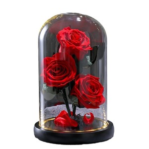 Produit dôme en verre rose préservé de haute qualité pour les cadeaux de Noël et <span class=keywords><strong>du</strong></span> Nouvel An de <span class=keywords><strong>la</strong></span> Saint-Valentin <span class=keywords><strong>du</strong></span> <span class=keywords><strong>Petit</strong></span> <span class=keywords><strong>Prince</strong></span>-longue durée - Product Image 5