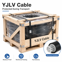 Câble en aluminium basse tension Xinyuhua YJLV 1*0,5 mm Classe C ignifuge IP44 pour appareils électroménagers et câblage automobile