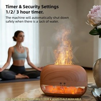 Diffuseur d'arômes à flamme réaliste, effet bois, moderne, nouveau modèle 2026, humidificateur diffuseur à flammes de cristal de l'Himalaya, vente en gros