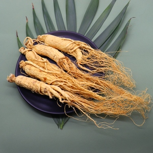 <span class=keywords><strong>Ginseng</strong></span> Natural Seco Raiz de <span class=keywords><strong>Ginseng</strong></span> da Montanha Changbai - Product Image 5