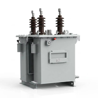 Transformador de Distribución Sumergido en Aceite Sellado para Aplicaciones de Subestaciones de 10kV 0.4KV
