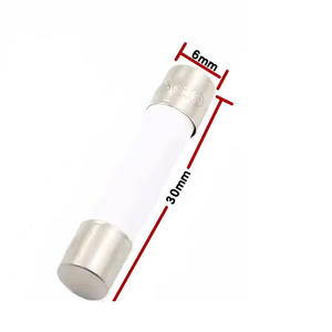 100 шт./упаковка, быстроходный керамический предохранитель 6x30 мм F 0.5A 1A 2A 3A 4A 5A 6A 8A 10A 13A 15A 16A 20A 30A 250V - Product Image 2