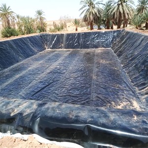 แผ่นใยสังเคราะห์ HDPE สำหรับบุบ่อ ป้องกันรังสียูวี อายุการใช้งาน 50 ปี หนา 0.5 มม.-3 มม. สำหรับฟาร์มปลา การเพาะเลี้ยงสัตว์น้ำ เขื่อน บ่อเก็บน้ำ ที่ฝังขยะ ป้องกันน้ำรั่วซึมแบบทันสมัย - Product Image 1