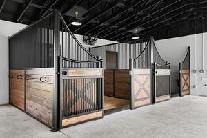 Box de Luxe Personnalisé pour Chevaux – Écurie Modulaire avec Barres en Acier pour Ferme, Centre Équestre – Facile à Nettoyer - Product Image 3