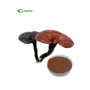 Reishi 버섯 세포 벽 깨진 포자 분말 총 트리테르펜 2% 쉘 깨진 <span class=keywords><strong>Ganoderma</strong></span> <span class=keywords><strong>Lucidum</strong></span> 포자 분말 - Product Image 1