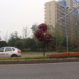 Soporte Vertical para Macetas Flower Tower de Buena Calidad - Product Image 6