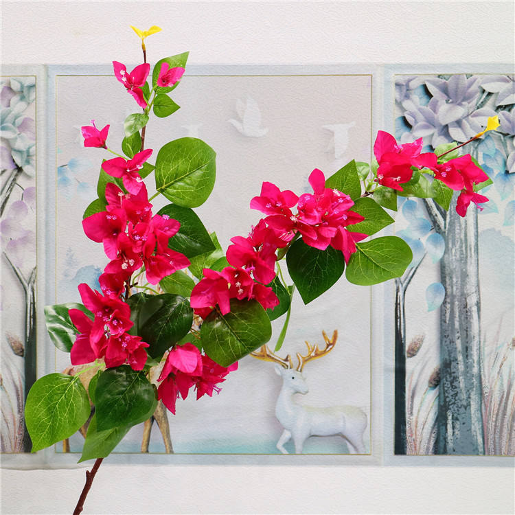 2 branches Bougainvillea-1