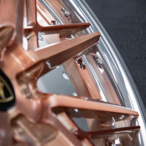 Jantes en aluminium forgé à double pièce Bronze Argent, Série AG Style 18 19 20 21 22, Convient aux coupés ou aux SUV sport de luxe - Product Image 6