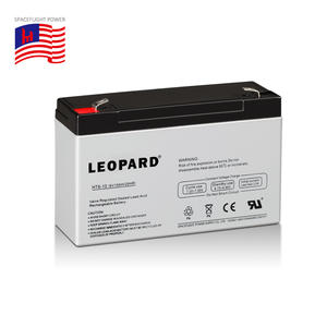 Obral besar LEOPARD 6V10AH paket baterai Lithium Ion 20 jam asam timbal tersegel dengan Discharger rendah disetujui CE - Product Image 5