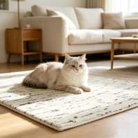 Tapis moderne noir et blanc en jacquard PP antibactérien, hauteur de pile 9 mm, épaisseur fine, envers en coton, pour salon, motif rayures abstraites, pour la maison