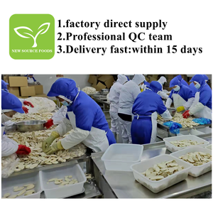 IQF <span class=keywords><strong>Pleurotus</strong></span> <span class=keywords><strong>Eryngii</strong></span> congelé-Champignons des bois tendres, idéal pour les plats gastronomiques, les sautés et les repas sains - Product Image 6