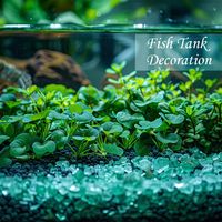Vente en gros de gravier coloré en verre concassé pour le fond des aquariums, comptoirs en terrazzo de cuisine, décoration extérieure et intérieure, et cheminée