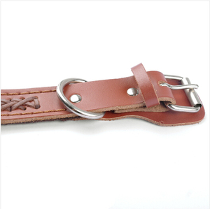 <span class=keywords><strong>Collar</strong></span> trenzado Merican <span class=keywords><strong>Bully</strong></span> y plomo, gran oferta - Product Image 6