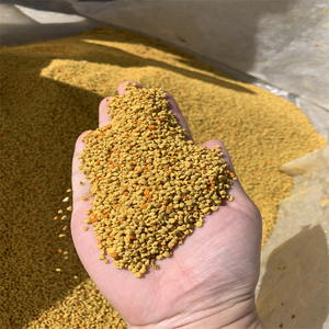 Poudre de <span class=keywords><strong>pollen</strong></span> <span class=keywords><strong>d</strong></span>'<span class=keywords><strong>abeille</strong></span> 100% pure de haute qualité, naturelle, en vrac, 20 kg/carton, durée de conservation de 2 ans - Product Image 4
