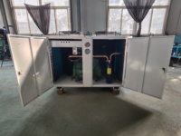 20hp 30hp 40hp 50hp Congélateur à air refroidi semi-hermétique compresseur à piston à défilement réfrigérateur unités de condensation de réfrigération