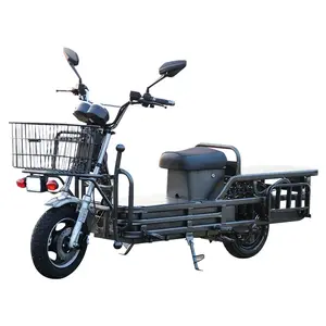Fast Delivery 10 Inch tire 1500W Two Wheels Electric Cargo Bike For Family