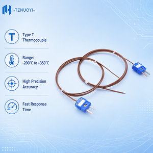Cable Termoeléctrico Tipo T TT-T-24-SLE, Conector Mini, Sonda <span class=keywords><strong>de</strong></span> Sensor <span class=keywords><strong>de</strong></span> <span class=keywords><strong>Temperatura</strong></span> con Aislamiento PFA, <span class=keywords><strong>Aplicación</strong></span> Criogénica, OEM/ODM, IP65 - Product Image 6