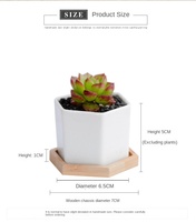 Pot de fleurs en céramique hexagonal petit et pratique, décoration de bureau intérieure et extérieure, design personnalisé