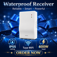 Receptor Electrónico Moderno a Prueba de Agua DM721F Do-ya para Accesorios de Cortinas con Motor de Alto Torque y Control por Voz