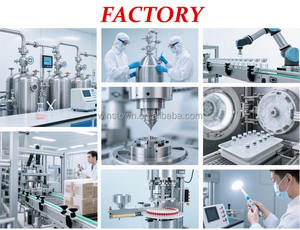 Kapsul Rhubarb <span class=keywords><strong>Angelica</strong></span> yang Sudah Diolah, Herbal Alami, Ramuan Tradisional Tiongkok, Suplemen Pendukung Kesehatan Pencernaan dan Usus - Product Image 6